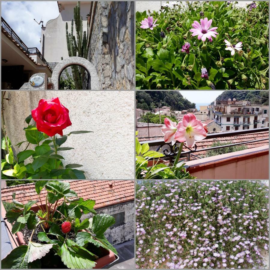 B&B Cetara Amalfi Coast المظهر الخارجي الصورة